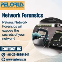 Pelorus | Network Forensics, Bangalore